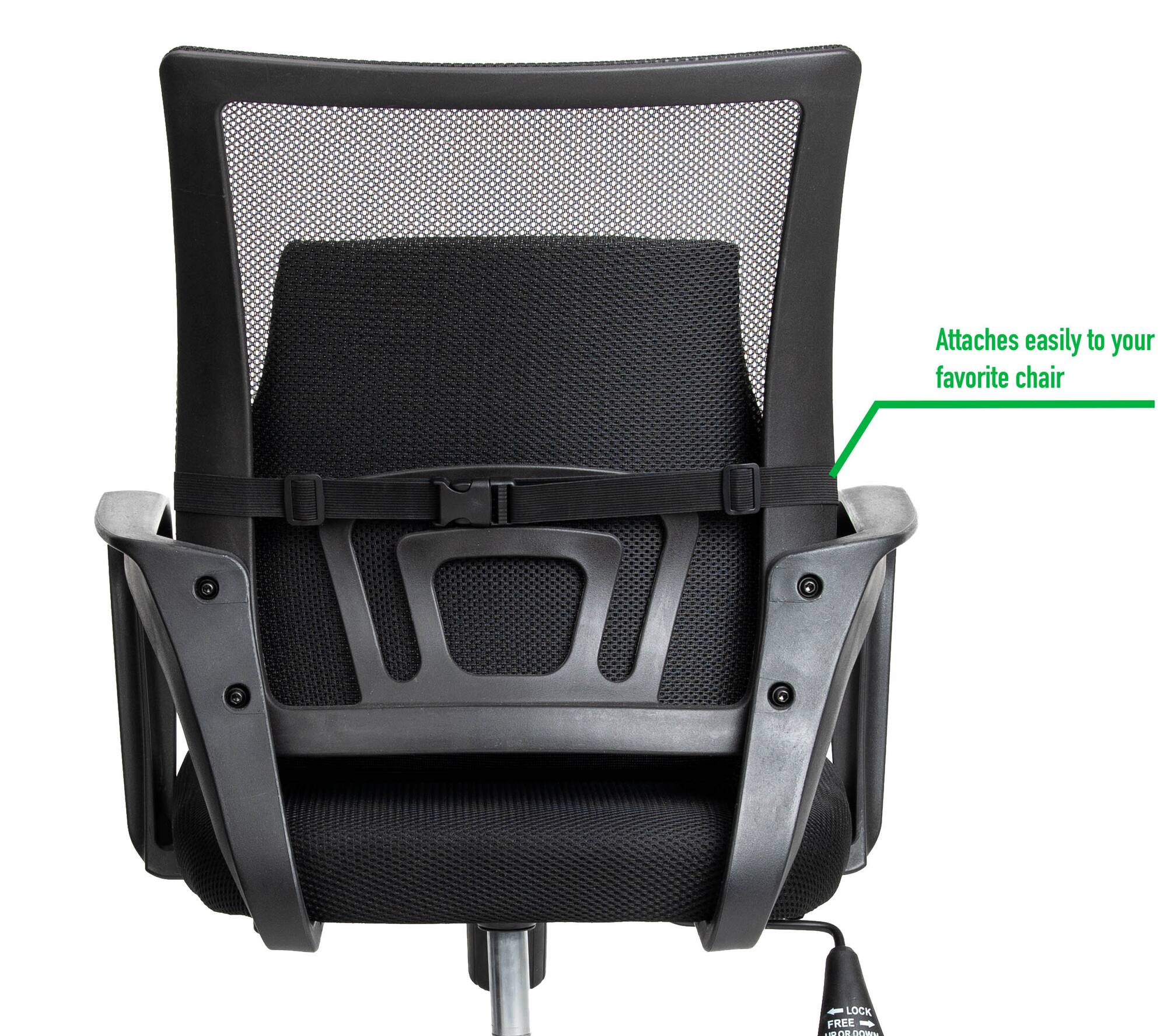 Mind Reader Teal & Black Ergonomic Back Cushion